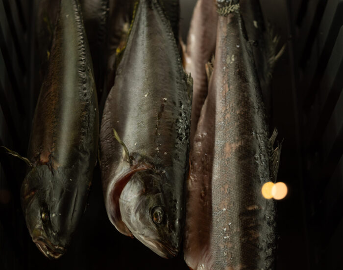 Vis dry age Vis Dry Age